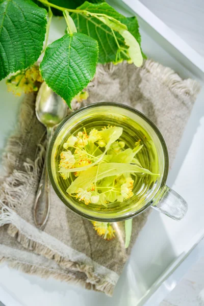 Healing tea with honey for flu — Stock Photo, Image