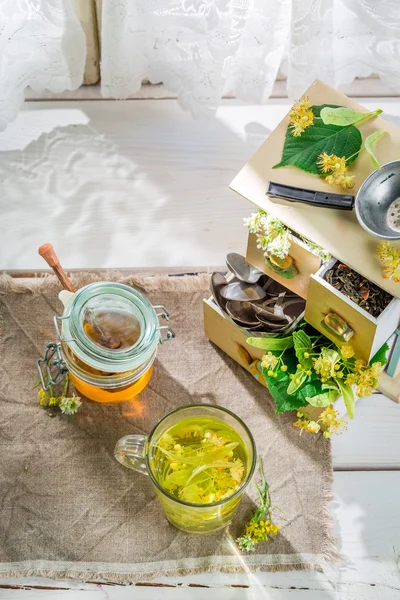 Healthy linden tea with honey in sunny day — Stock Photo, Image