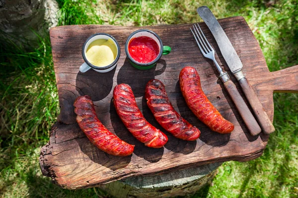 Red hot sausages with spices and rosemary in garden — Stock Photo, Image