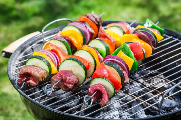 Rostning av färskt nötkött och grönsaker med örter i trädgården — Stockfoto