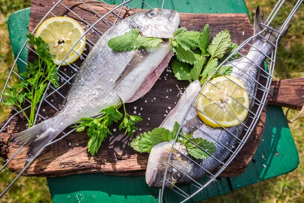 鮮魚のグリル レモンとハーブ — ストック写真