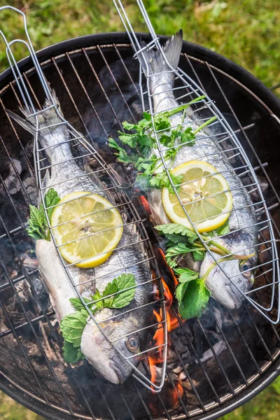 Ruszt ryba smaczny z cytryny i ziół — Zdjęcie stockowe