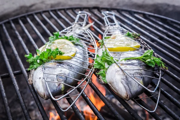 Pesce saporito con erbe e limone alla griglia — Foto Stock