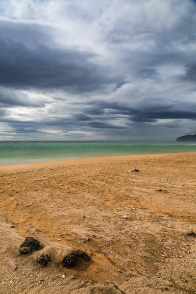 Playa junto al mar Ártico en Islandia — Foto de Stock