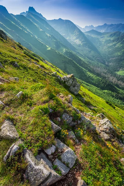 Prachtige dageraad in de Tatra gebergte — Stockfoto