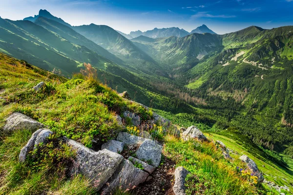 Morgendämmerung in der Tatra im Sommer, Polen — Stockfoto