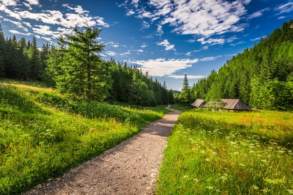 Vallei in de Tatra bergen bij zonsondergang, Polen — Stockfoto