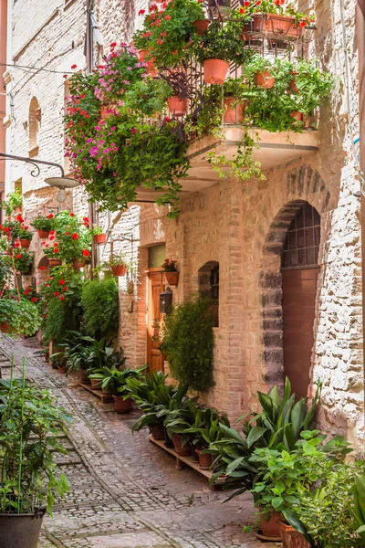 Full of flower streer in small town, Italy, Umbria — Stock Photo, Image