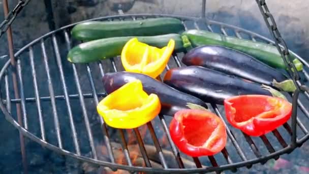 Geroosterde groenten op de grill met vuur — Stockvideo