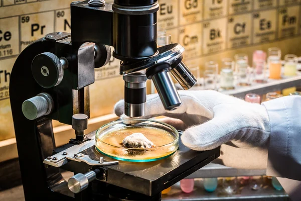 Laboratório universitário durante o teste de molde — Fotografia de Stock