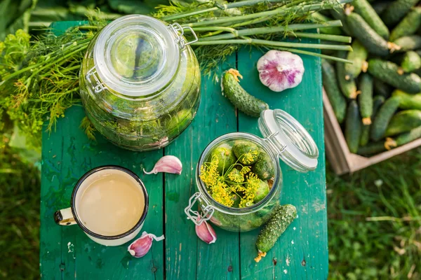 Pepinos em conserva caseiros com ingredientes — Fotografia de Stock