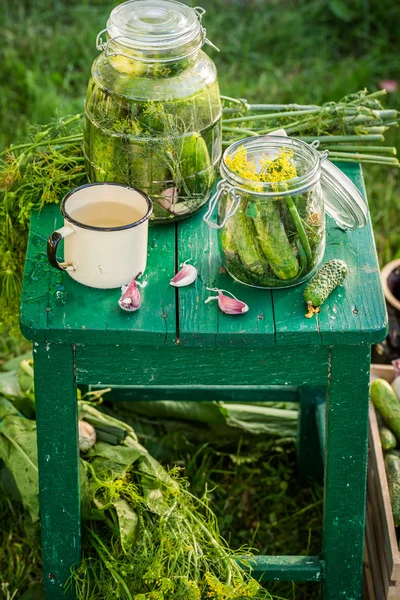 Hausgemachte Gurken im Glas im Sommergarten — Stockfoto