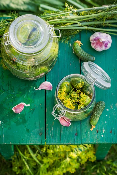 Nahaufnahme der Zubereitung von hausgemachten Gurken — Stockfoto