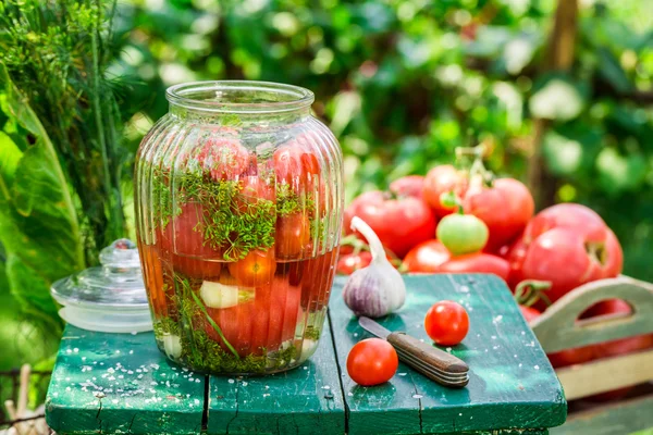 Pickling tomatoes with garlic and dill — Stock Photo, Image