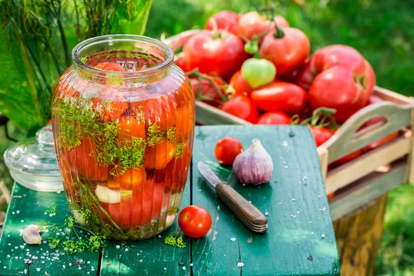 Fresh tomatoes with ingredients — Stock Photo, Image