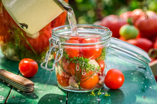 Pickled tomatoes with home grown ingredients — Stock Photo, Image