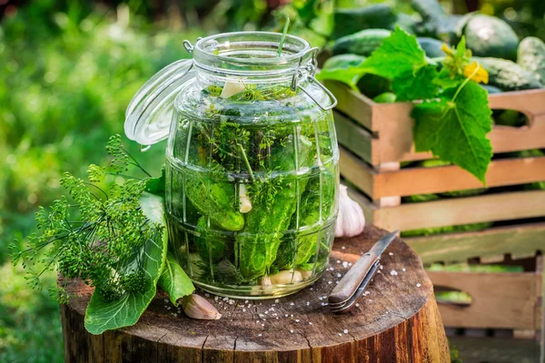 Pepinos caseiros com ingredientes frescos — Fotografia de Stock