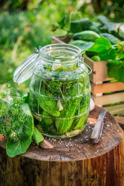 Freshly made jar with gherkins — Stock Photo, Image