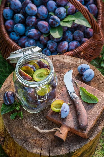 Preparaciones para la conservación de ciruelas —  Fotos de Stock