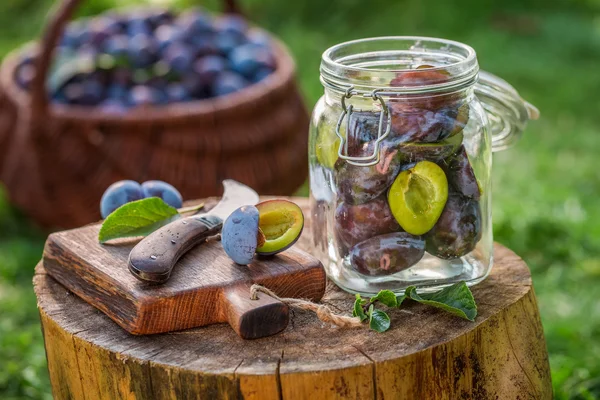 Freshly sliced plums for compote — Stock Photo, Image