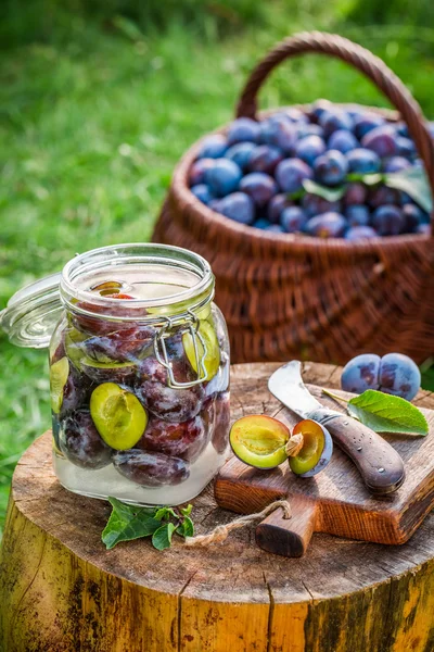 Prunes pour compote et ingrédients frais — Photo
