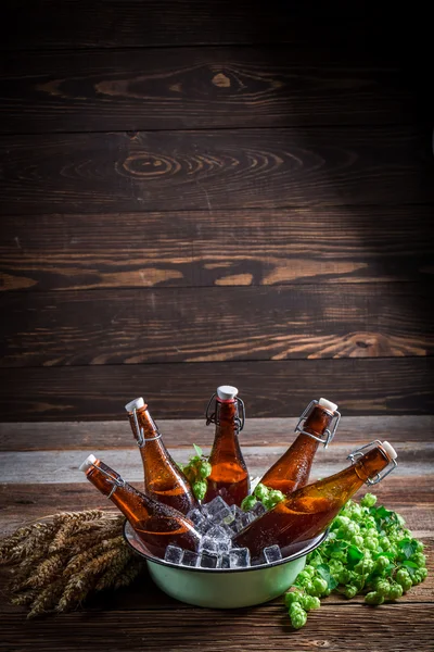 Cerveza de sidra fría y fresca sobre hielo —  Fotos de Stock
