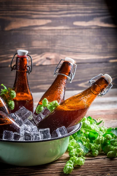 Cerveza fría y fresca con hielo —  Fotos de Stock