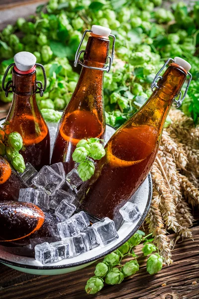 Cerveza casera fría y fresca sobre cubitos de hielo —  Fotos de Stock