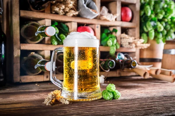 Cerveza de sidra fría y fresca e ingredientes en bodega —  Fotos de Stock