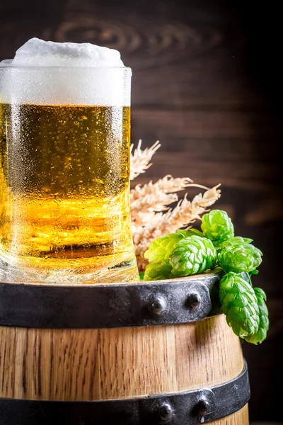 Birra fresca con schiuma, grano e luppolo — Foto Stock