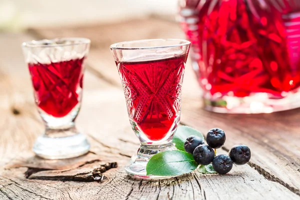 Fresh liqueur made of chokeberries and alcohol — Stock Photo, Image