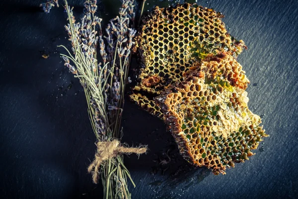 Honungskaka med honung och lavendel — Stockfoto