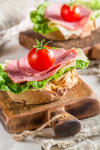 Deux délicieux sandwich au salami — Photo