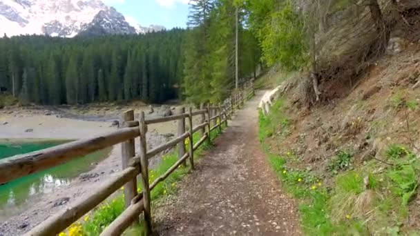 Calzada hacia la montaña Lago Carezza en los Alpes al amanecer, Italia — Vídeos de Stock