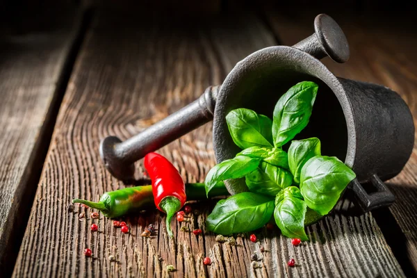 Mörser mit scharfem Paprika und Basilikum — Stockfoto