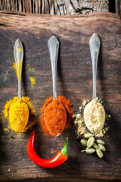 Various herbs and spices on spoons — Stock Photo, Image