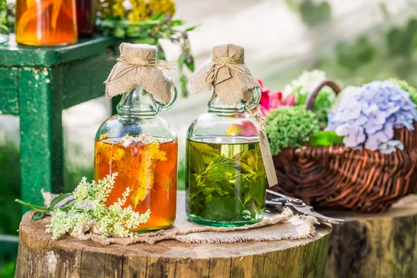 Curación de hierbas en botellas con alcohol y hierbas — Foto de Stock