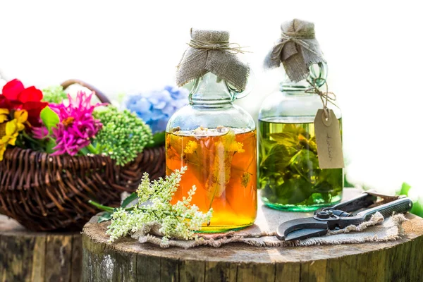 Лечение трав в бутылках как природная медицина в саду — стоковое фото