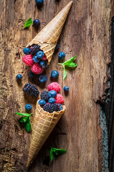 Gelato saporito con frutti di bosco in cialde come concetto — Foto Stock