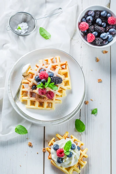 Hemgjord Våffelservering med berry frukter och vispad grädde — Stockfoto