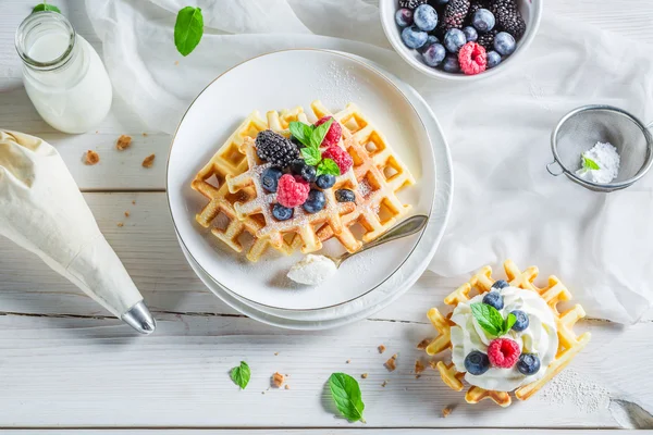 Berry meyve kahvaltı için lezzetli Waffel — Stok fotoğraf