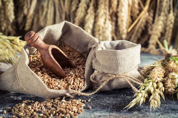 Ingrediënten voor broodjes en brood met volle granen — Stockfoto