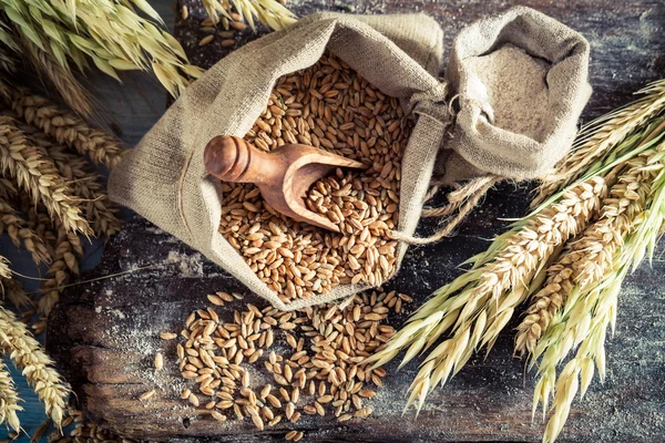 Ingredients for homemade bread — Stock Photo, Image