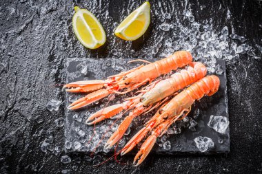 Freshly caught langoustines on ice clipart