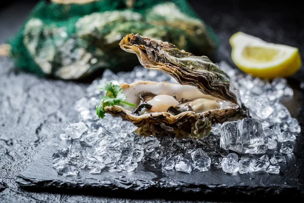 Deliciosas ostras sobre hielo — Foto de Stock