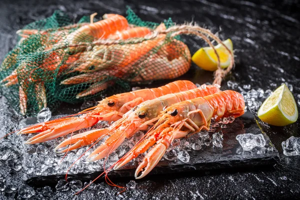 Scampi freschi su ghiaccio — Foto Stock