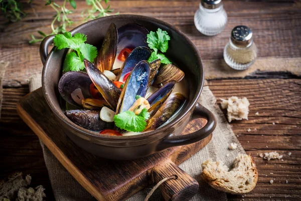 Cozze con aglio e peperoni rossi — Foto Stock