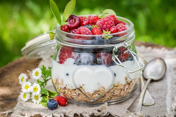 Вкусные мюсли с йогуртом и ягодами — стоковое фото