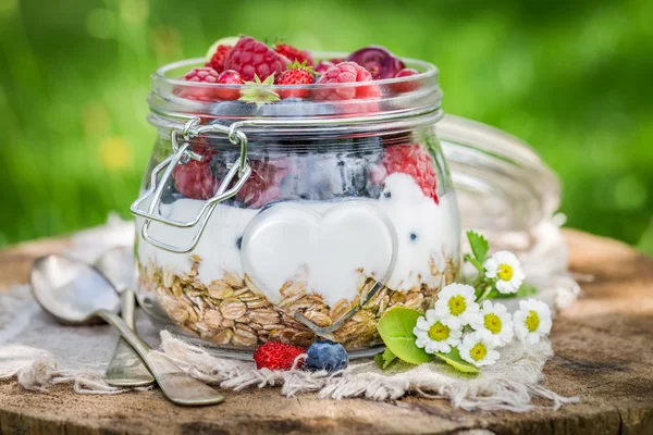 Healthy berry fruits and yogurt with granola — Stock Photo, Image