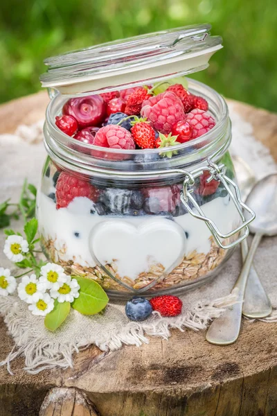 Вкусная гранола и йогурт, украшенные цветами — стоковое фото